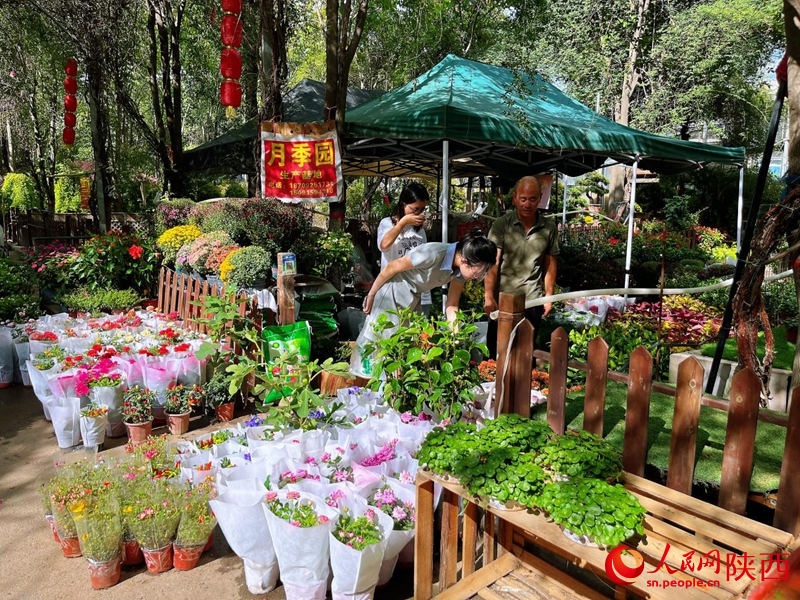 在秦嶺花世界花卉市場，市民選購鮮花、綠植。人民網(wǎng)記者 魏鑫攝