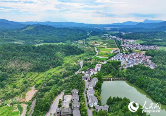 資溪縣森林資源豐富，森林覆蓋率達(dá)87.7%，有林地資源168萬畝。人民網(wǎng) 朱海鵬攝